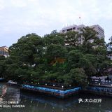       提升景区整体档次 满足群众多元化生活