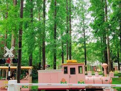 -黄海国家森林公园