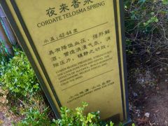 -大连金石滩绿发温泉假日酒店
