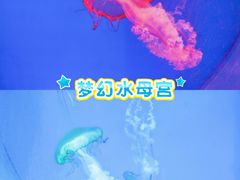 -南昌海洋公园