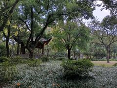 -汇龙潭