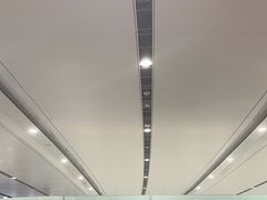 -麦当劳(北京大兴机场二层国内到达(安检外)店)