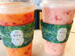 -野萃山·潮汕厚果汁(十亩地店)