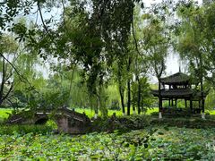 -老桂湖公园-杨升庵博物馆