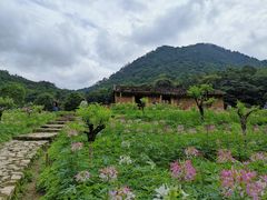 -广州市石门国家森林公园