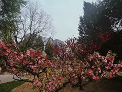 -月坛公园