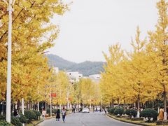 -浙江农林大学(东湖校区)