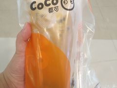 -CoCo都可(嘉定大融城店)