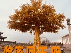 -哈密回王府景区