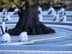 -鼎盛王朝康熙大典实景演出