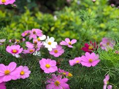 -龙环葡韵住宅式博物馆