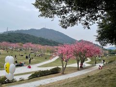 -风云岭森林公园