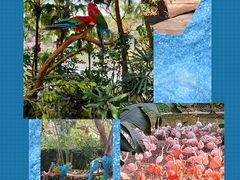 -广州长隆野生动物世界