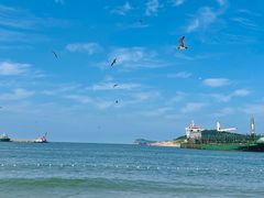 -海驴岛(荣成市)