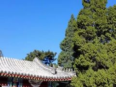 -颐和园