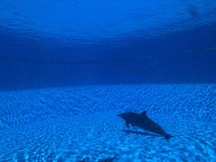 -横琴湾水世界