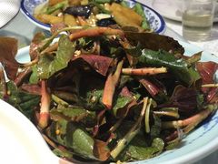 -新概念来凤鱼(璧山店)