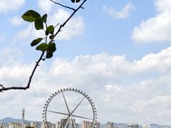 -庾园