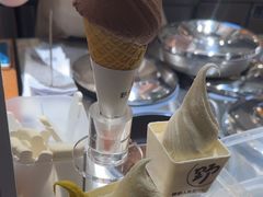 -野人先生Gelato(上海长宁龙之梦店)