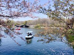 -上海共青森林公园