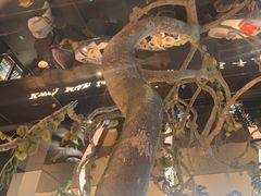 -桂满陇·海市蜃楼·黑金(国金店)