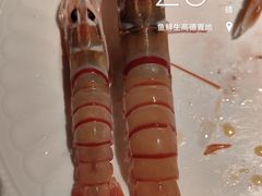 -Mr.Fish鱼鲜生海鲜放题(高德置地冬广场店)