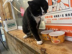 -兄弟鸡排.芋泥香酥鸭(淮海街店)