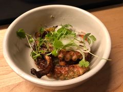 -State Bird Provisions