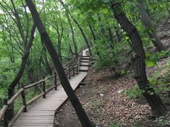 -北京上方山国家森林公园