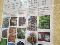 -广州神农草堂中医药博物馆