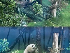 -盖碗儿梨园·变脸吐火·川剧(天府广场店)