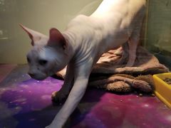 -乐宠宠物店(世纪金源店)