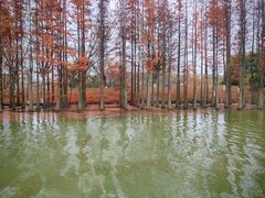 -东山风景区(洞庭东山)