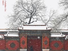 -故宫博物院(故宫)