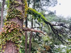 -敬亭山风景名胜区