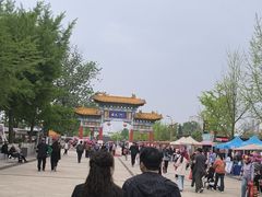 -曹州牡丹园