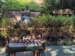 -西双版纳基诺山寨