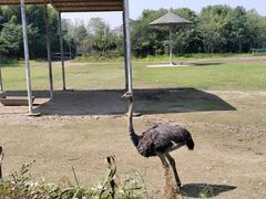 -宁波野生动物园