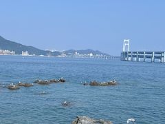 -黑石礁公园