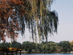 -石家庄市植物园