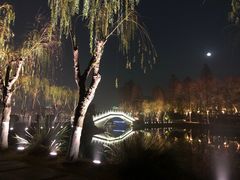 -东湖落雁景区