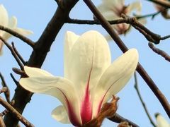 -桃源居(蠡园店)