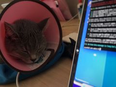 -谐和贝康宠物医院24小时·宠保定点(急重症转诊中心)