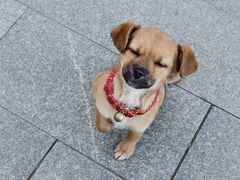 -鸡鸣山旅游景区