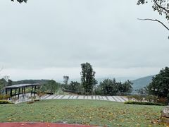 -铁山坪森林公园