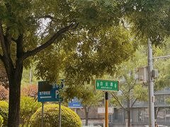 -白云观