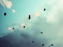 -张大师鸭爪爪特色干锅(钱塘江路店)