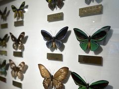 -上海昆虫博物馆