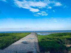 -南汇嘴观海公园