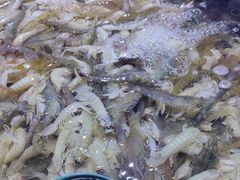 -聚盛源蒸汽海鲜火锅烤肉自助(巨川金海岸购物广场店)